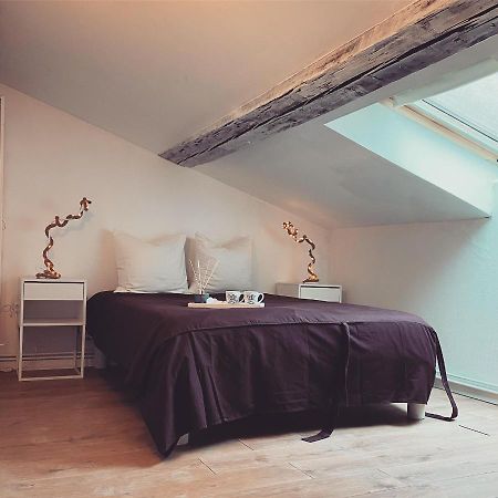 Superbe Duplex En Plein Coeur De Nancy Eksteriør bilde